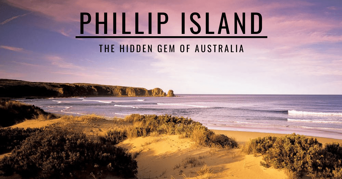 Phillip-Island-Blog-Welcome-to-Travel